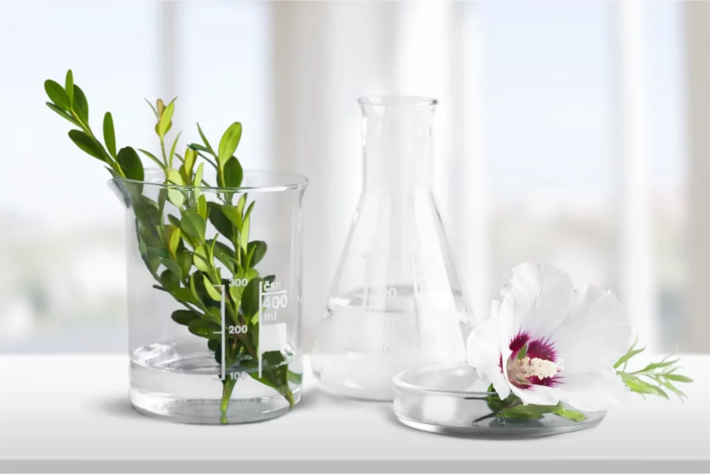 des soins ecoresponsables